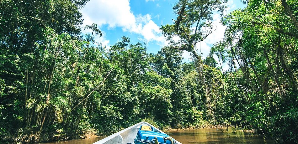 Eine Bootsfahrt durch den Amazonas-Regenwald, Cuyabeno Nationalpark, Ecuador