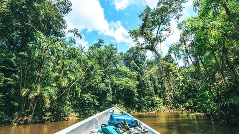 Eine Bootsfahrt durch den Amazonas-Regenwald, Cuyabeno Nationalpark, Ecuador