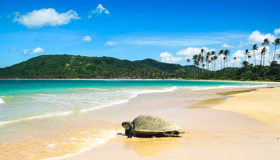 Beste Reisezeit für die Philippinen 5 Infos & Tipps WeDesignTrips