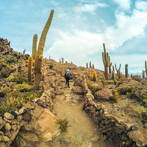Reisender fotografiert auf Kaktusinsel