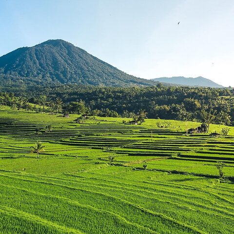 Berglandschaft um die Reisterrassen von Jatiluwih, Indonesien
