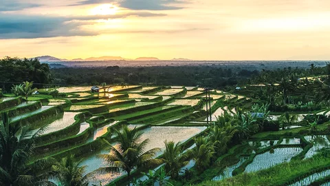 Der Sonnenuntergang über die Reisterrassen von Jatiluwih, Indonesien
