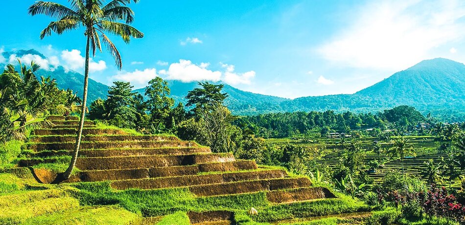 Die Reisterrassen von Jatiluwih, Indonesien