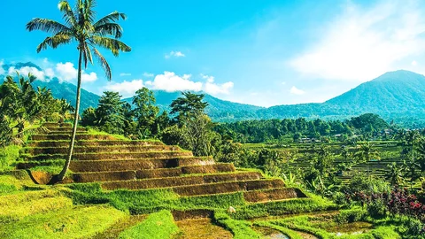 Die Reisterrassen von Jatiluwih, Indonesien
