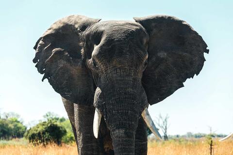 Top 3 Reisen Kavango 2025 WeDesignTrips
