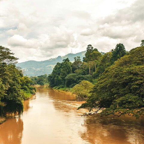 Fluss in Kitulgala
