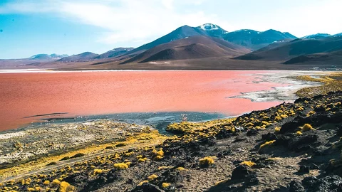 Die rote Laguna Colorada