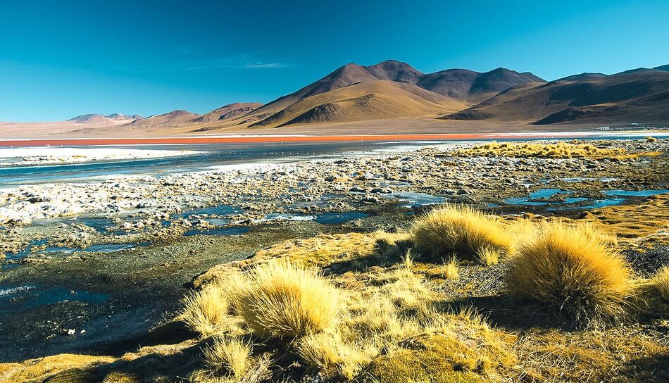 Laguna Colorada in Bolivien