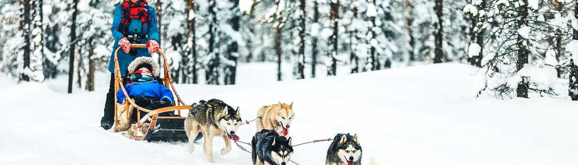 Top 5 Reisen & Routen Lappland 2025/2025 WeDesignTrips