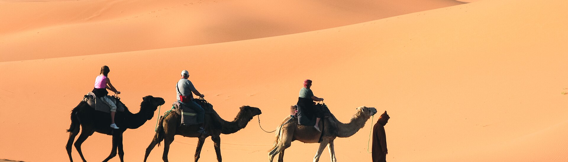 Kamelreiten in der Wüste Marokkos