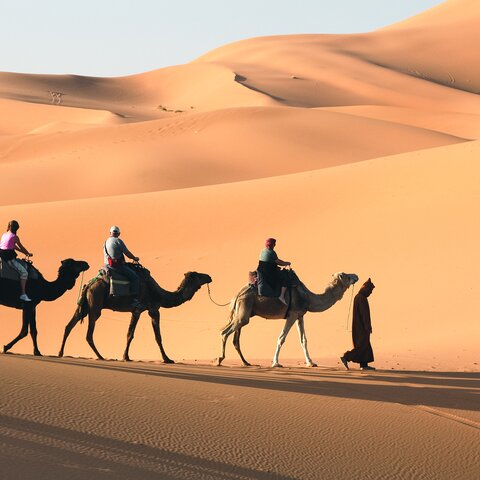 Kamelreiten in der Wüste Marokkos