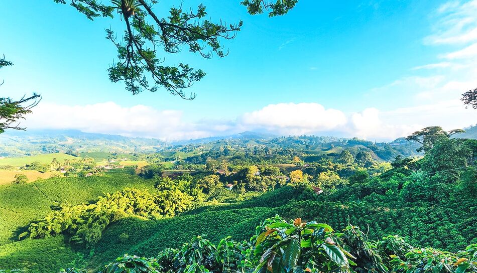 Landschaft in Manizales, Kolumbien