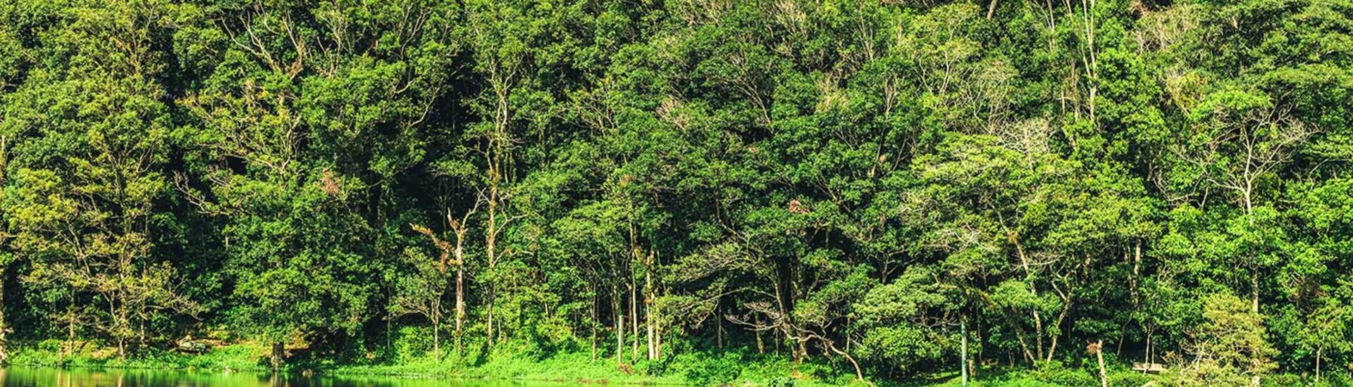 Selva Negra in der Nähe von Matagalpa, Nicaragua