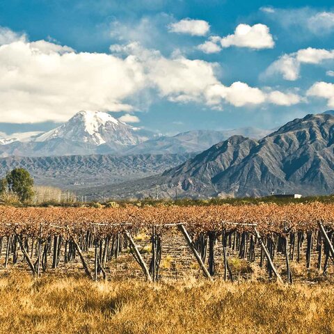 Blick auf die Weinberge und den Vulkan Aconcagua bei Mendoza