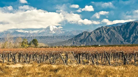 Blick auf die Weinberge und den Vulkan Aconcagua bei Mendoza