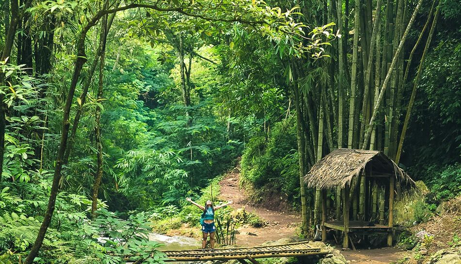 Wanderweg durch den Regenwald von Munduk, Indonesien
