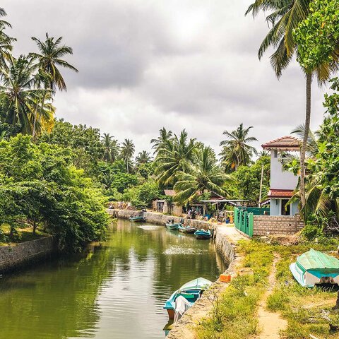 Negombo: Holländischer Kanal