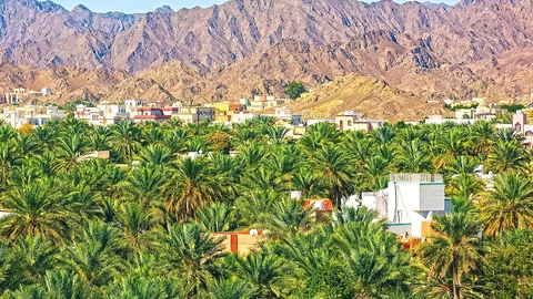 Der Überblick über Nizwa, Oman