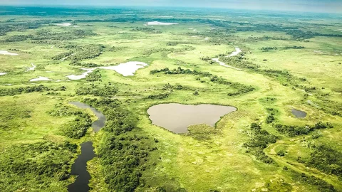 Das Pantanal in Brasilien aus der Vogelperspektive