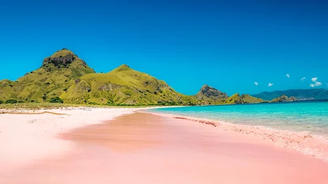 Der Pink Beach in Indonesien