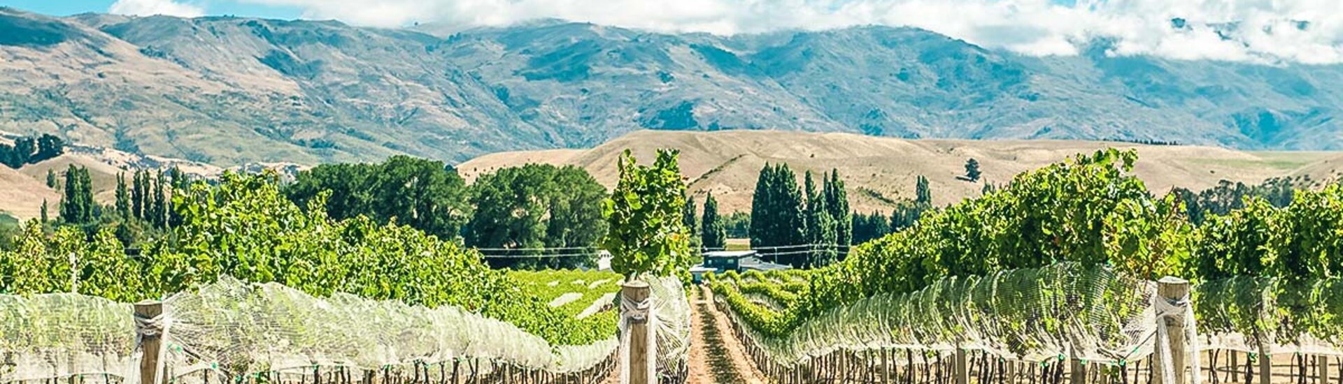 Weingüter von Otago in Neuseeland