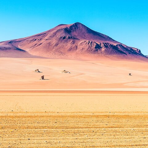 Die Salvador Dali Wüste