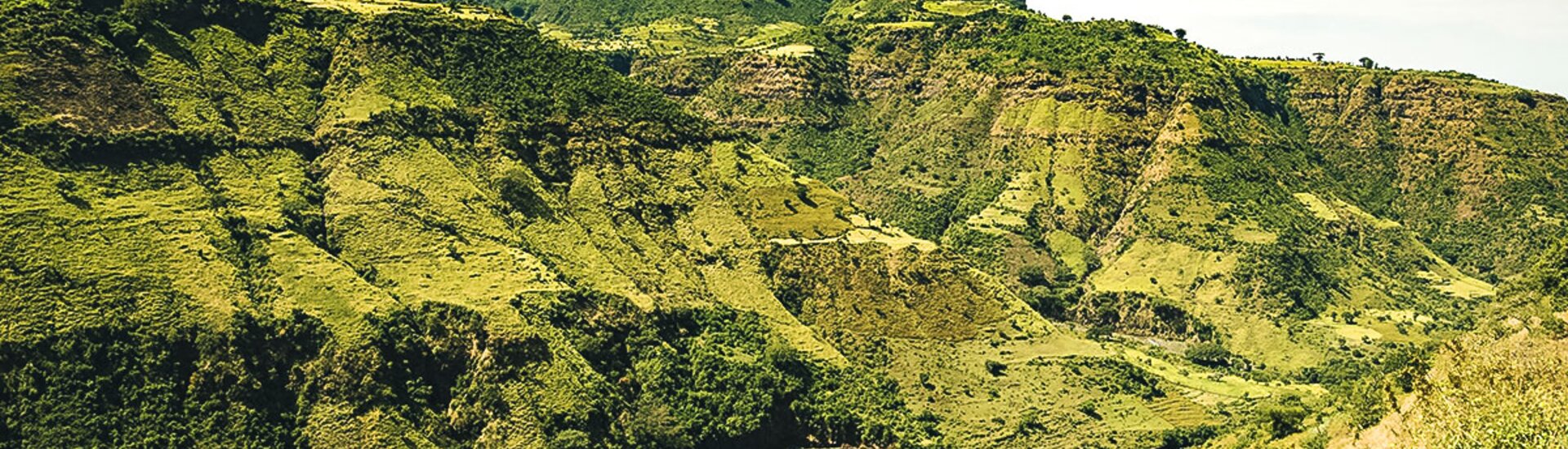 Simien Nationalpark in Äthiopien