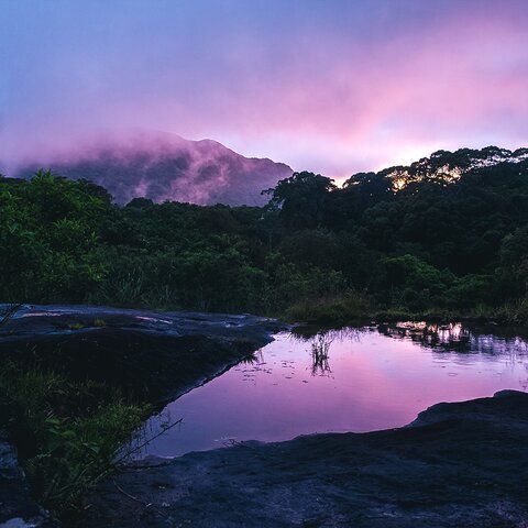 Sonnenuntergang im Sinharaja Regenwald 