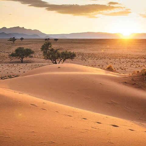 Sonnenaufgang in der Wüste