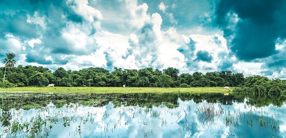 Pantanal in Brasilien