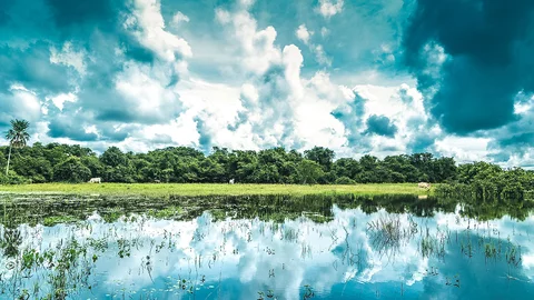 Pantanal in Brasilien