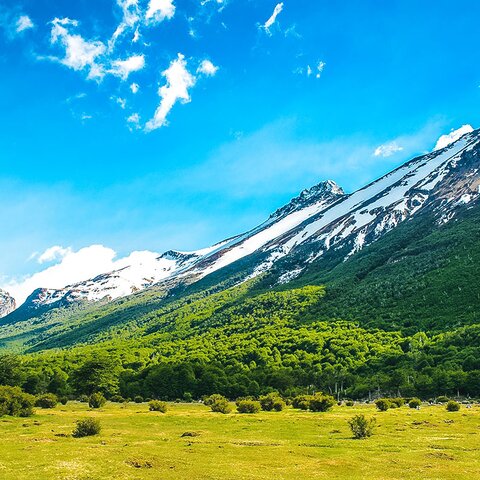 Tierra del Fuego Nationalpark in Argentinien