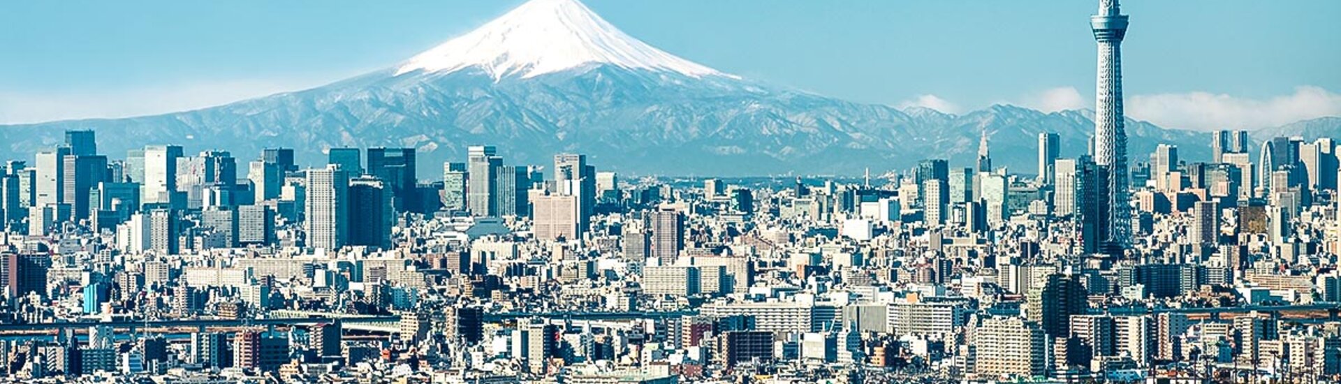 Tokio mit Mt. Fuji und dem Skytree