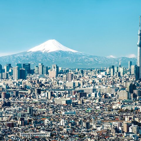 Tokio mit Mt. Fuji und dem Skytree