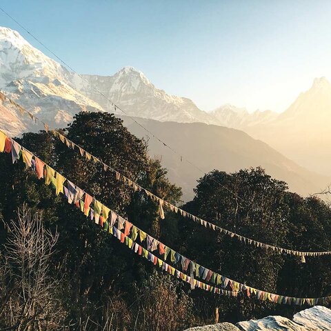 Aussicht auf den Himalaya von Tadapani aus