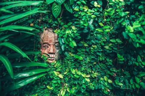 Top 4 Reisen Xpujil 2025 WeDesignTrips