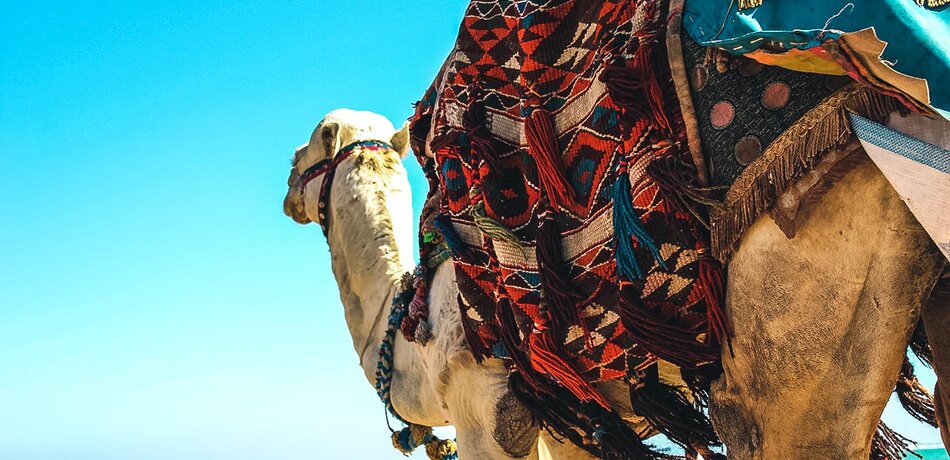 Camel Trekking durch Kenia