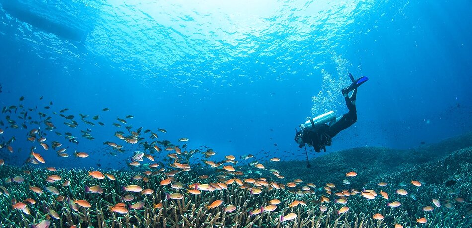 Taucher in der Unterwasserwelt von Bali