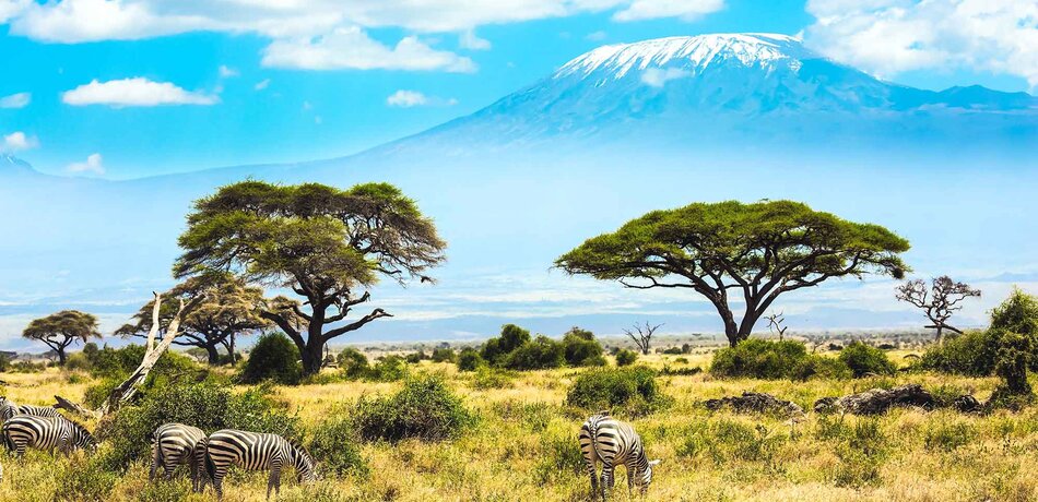 Blick auf den Kilimanjaro vom Amboseli Nationalpark