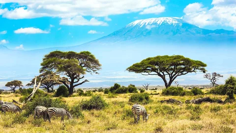 Blick auf den Kilimanjaro vom Amboseli Nationalpark
