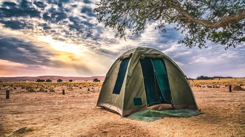 Zelt unter einem alleinstehenden Baum in der Savanne Namibias bei Sonnenuntergang