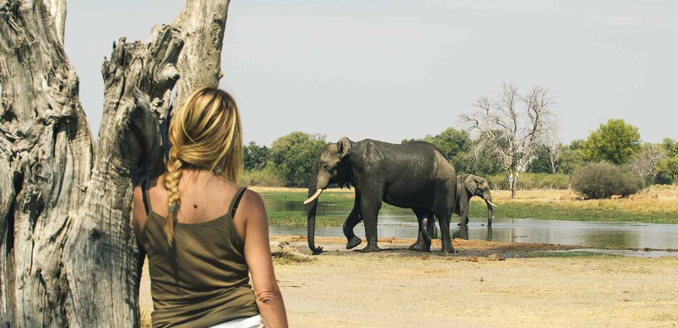 Frau beobachtet Elefanten im Nationalpark
