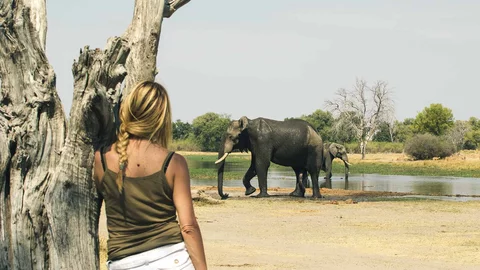 Frau beobachtet Elefanten im Nationalpark