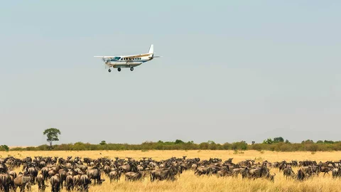 Fly-in Safari in Tansania