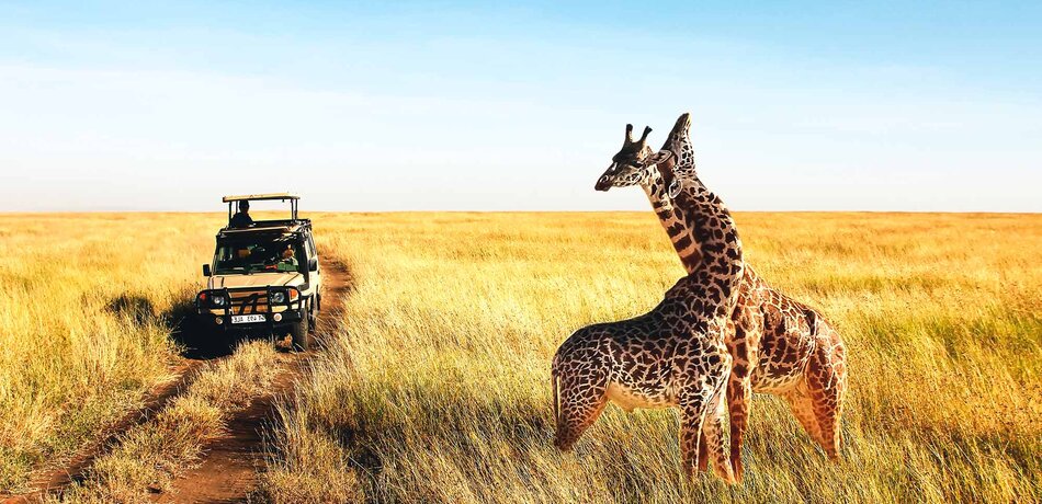 Safarifahrt in der Serengeti