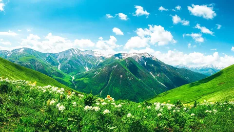 Grüne Berglandschaft in Georgien
