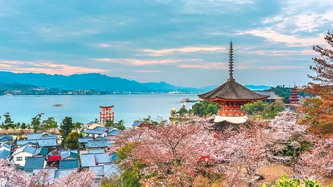 Insel Miyajima zur Kirschblütenzeit
