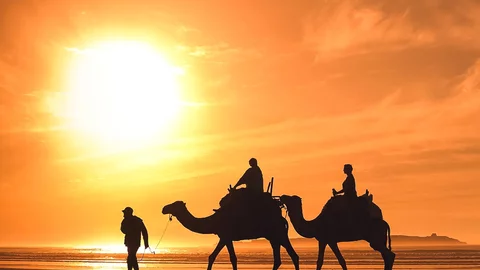 Ein Paar in den Flitternwochen in der Wüste von Marokko