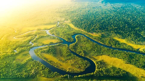 Amazonas im Norden von Brasilien