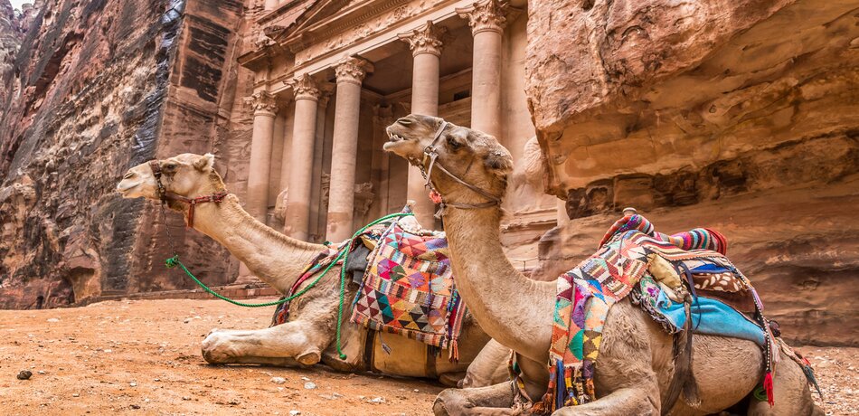 Kamele vor Al Khazneh (Schatzamt) in Petra